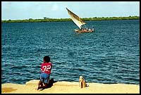 Boy watching dhow sail by :: Lamu, Kenya