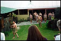 Maori performance :: Rotorua, New Zealand