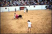 Bullfight :: Sahagun, Spain