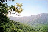 Parc Naturel Régional du Haut-Languedoc :: France