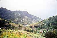 Biking through the hills of the Cinque Terre :: Italy
