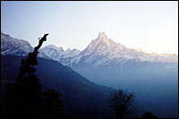 View of Machhapuchhre from Tadopani :: Tadopani, Nepal