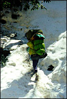 Trail between Tadopani and Ghorepani - Beginning of the nightmare ice valley :: Nepal