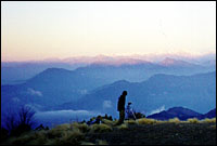 Poon Hill :: Ghorepani, Nepal