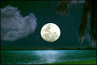 Howl at the moon (Postcard) :: Koh Phangan, Thailand