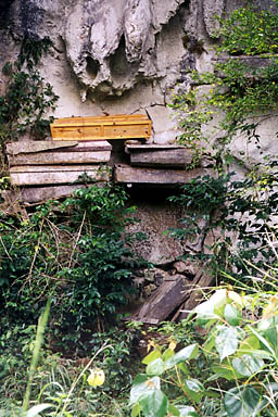 Burial rites -- Sagada, Philippines