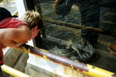 Ssssnake farm! -- Chiang Mai, Thailand