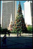 Christmas in summer :: Brisbane, Australia