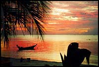 Dinner Show. Sunset at Haad Tien :: Koh Phangan, Thailand