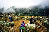 Humboldt Base Camp :: Venezuela