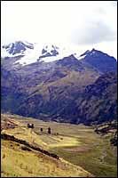 Jancapampa :: Cordillera Blanca, Peru