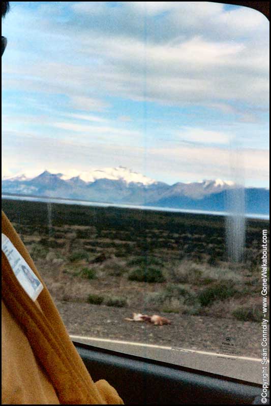Eagle kill -- Los Glaciares National Park, Argentina