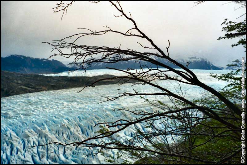 Grey Glacier -- Torres del Paine, Chile